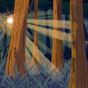 Meet your Posher, Jeff